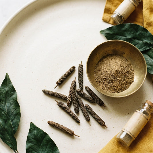Thippili Powder (Long Pepper) — botanical