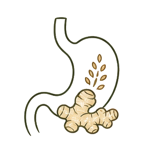 Digestion